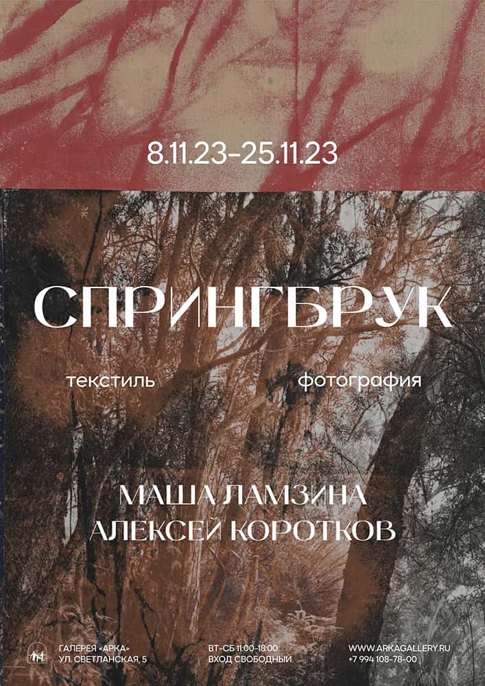 С 8 по 25 ноября галерее «Арка» во Владивостоке пройдет выставка «Спрингбрук»
