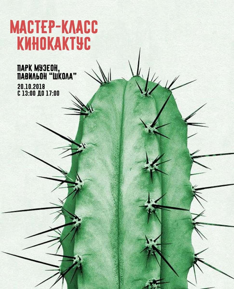 Мастер-класс "Кинокактус"