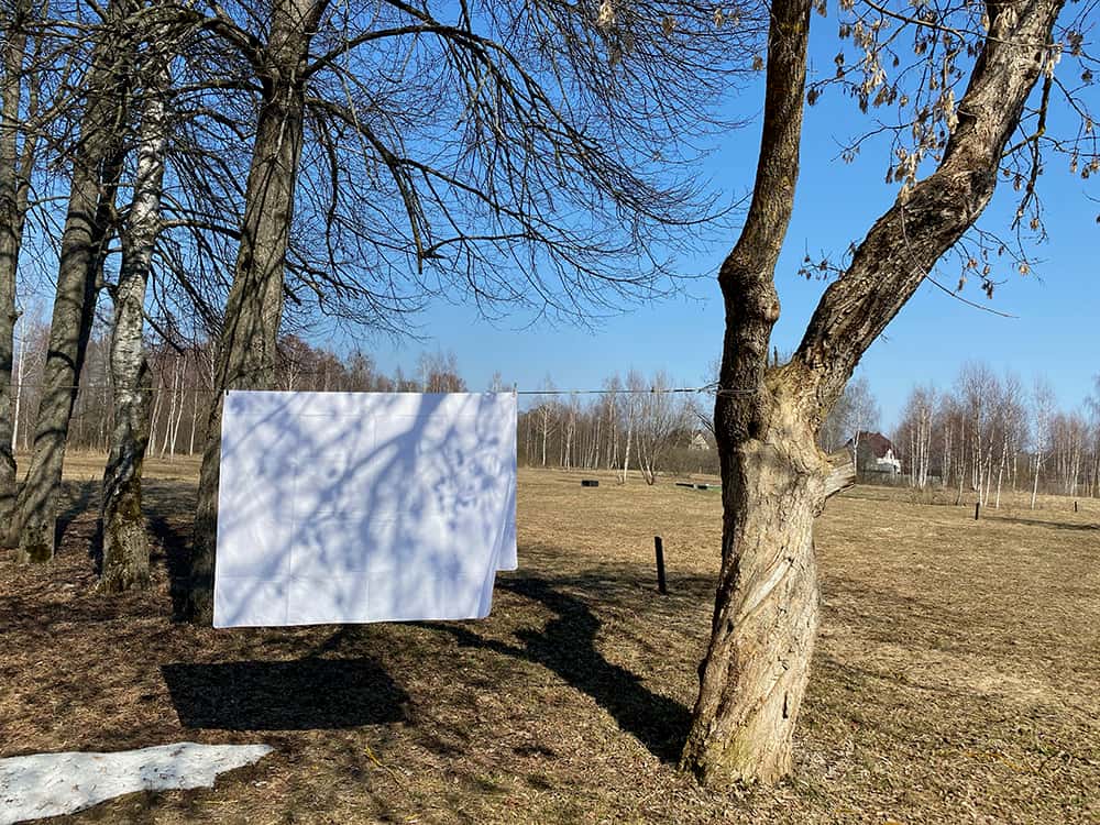 До 28 мая open call: Художественная выставка в поле в парк-отеле "Белые аллеи"