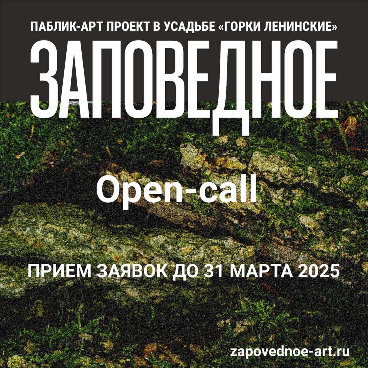 Open call паблик-арт проекта «Заповедное» до 31 марта
