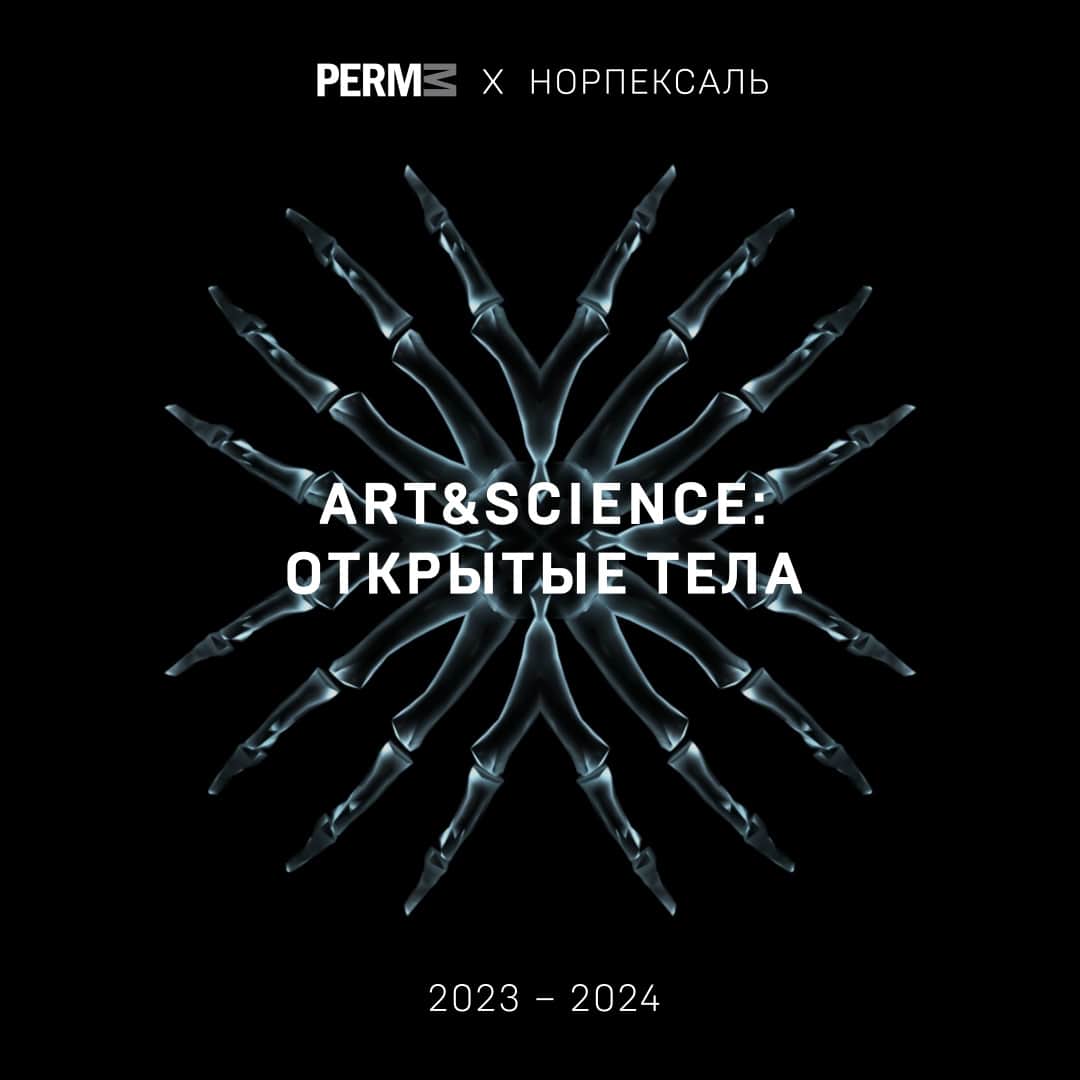 Конкурс стипендий PERMM «Art&Science: Открытые тела» до 15 сентября