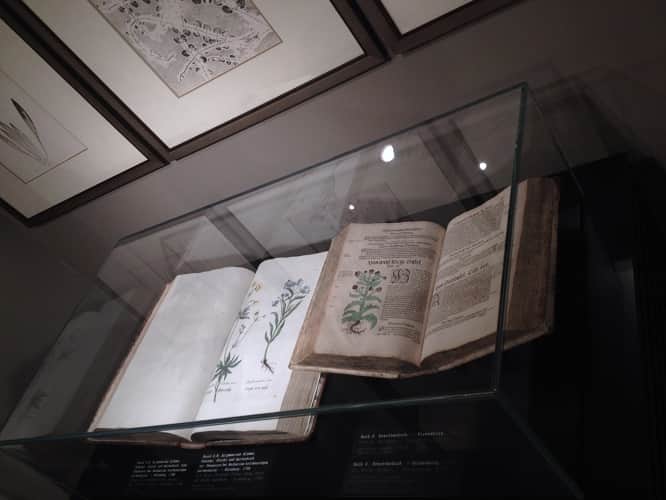 "Книга трав" Дмитрия Плавинского