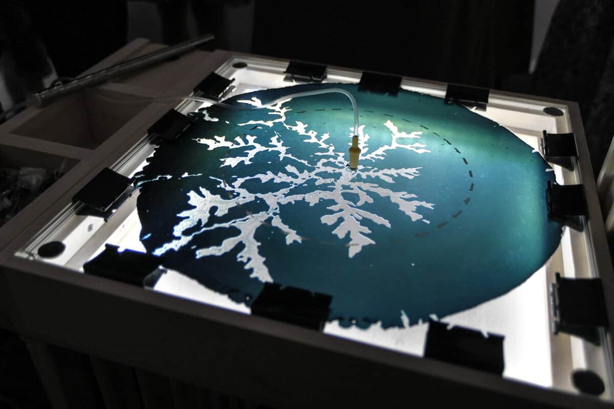 Бессрочный open call галереи «Ходынка» и Сколтеха на участие в science-art проекте