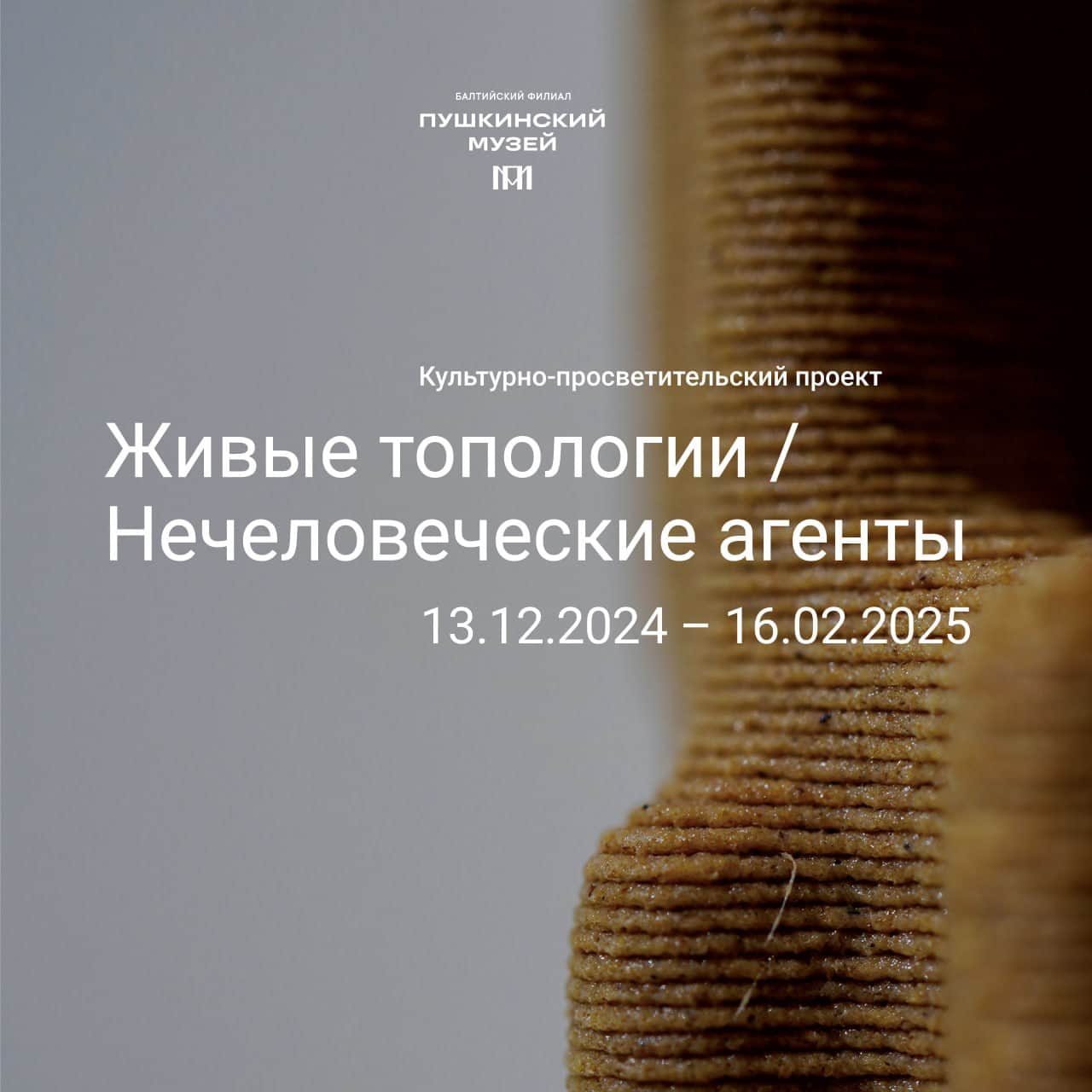 С 13 декабря в Калининграде открывается проект «Живые топологии / Нечеловеческие агенты»