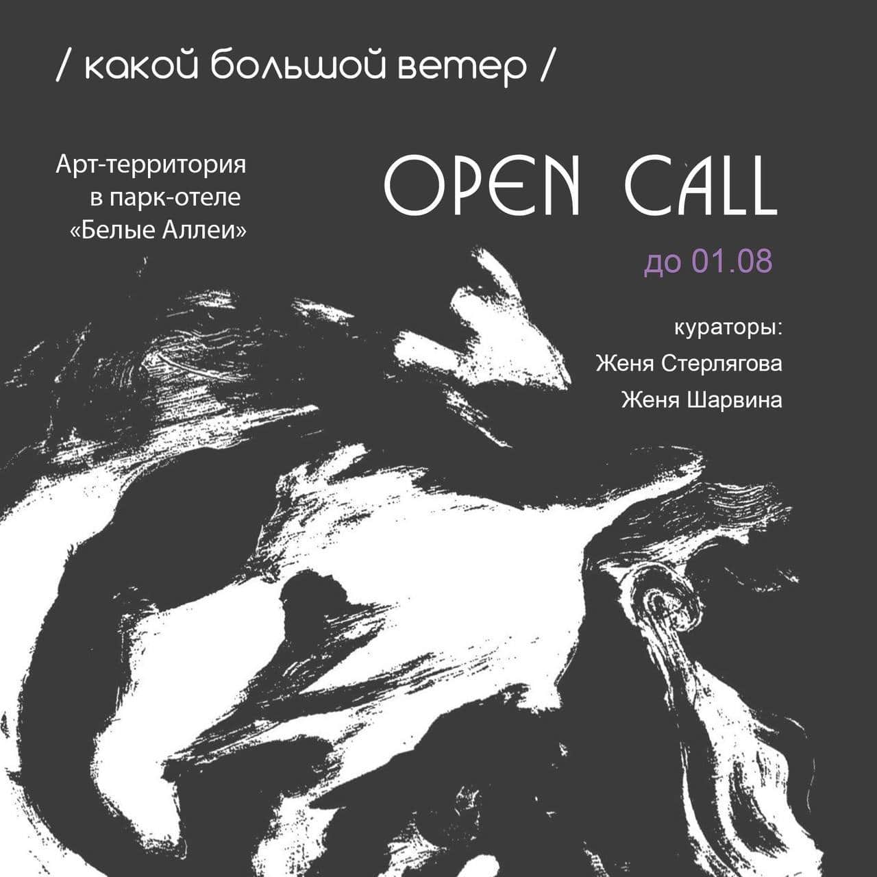 Open call парк-отеля «Белые аллеи» «Какой большой ветер» до 1 августа
