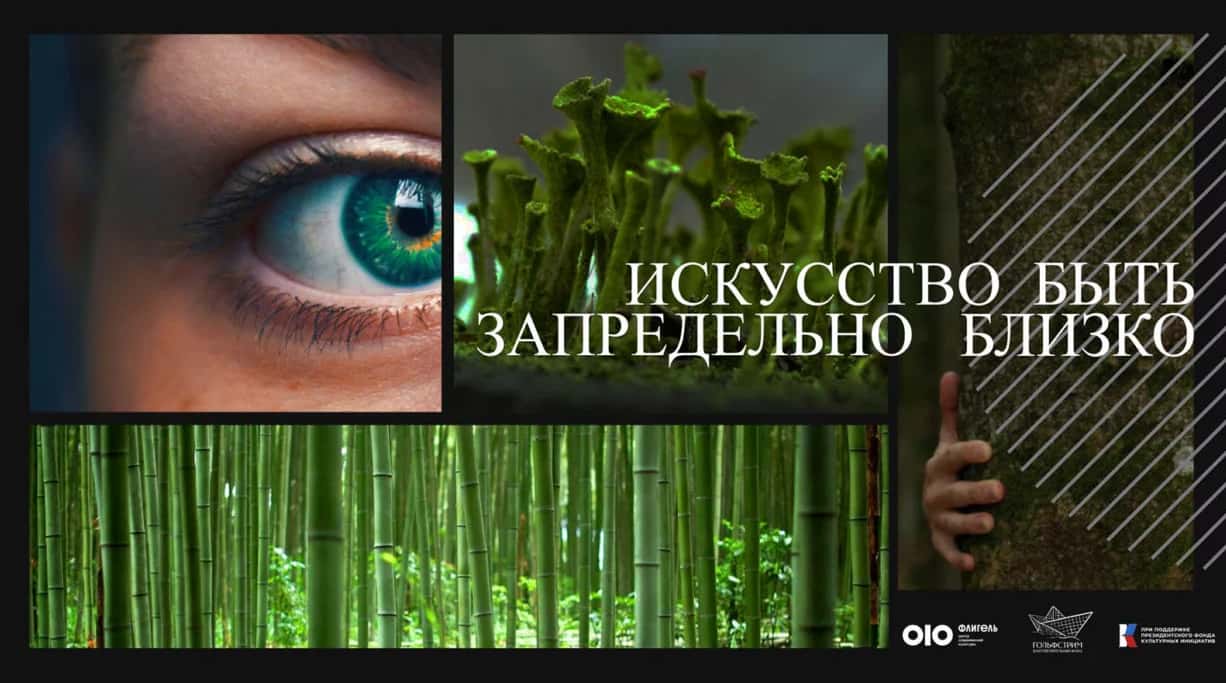 Параллельная программа к выставке «Искусство быть: запредельно близко» во Владимире