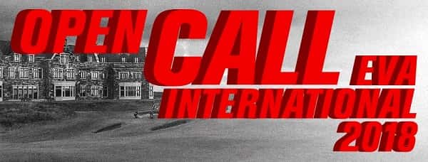 Открыта подача заявок EVA International Biennale