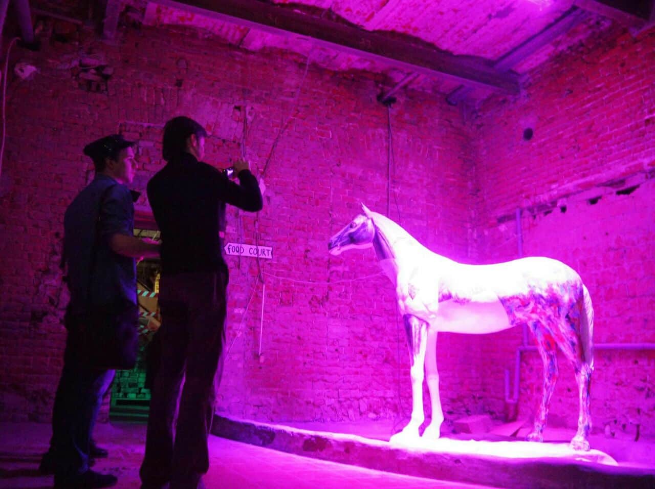 Moscow Decompression состоится 25 ноября