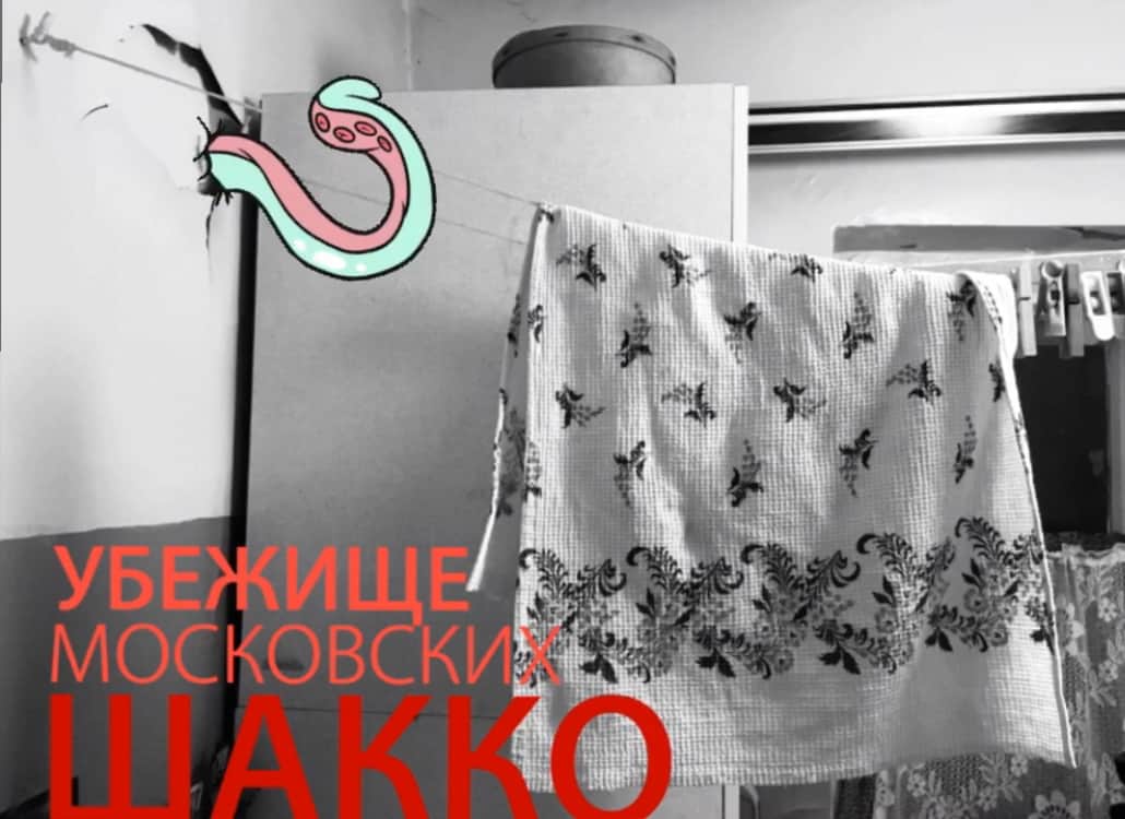 Первая сториз-выставка "Убежище московских ШАККО" художника Александры Прокоповой