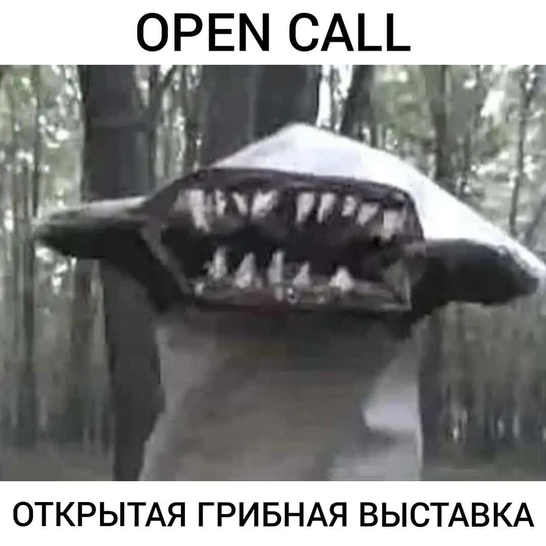 Open call «Открытой грибной выставке» до 20 сентября