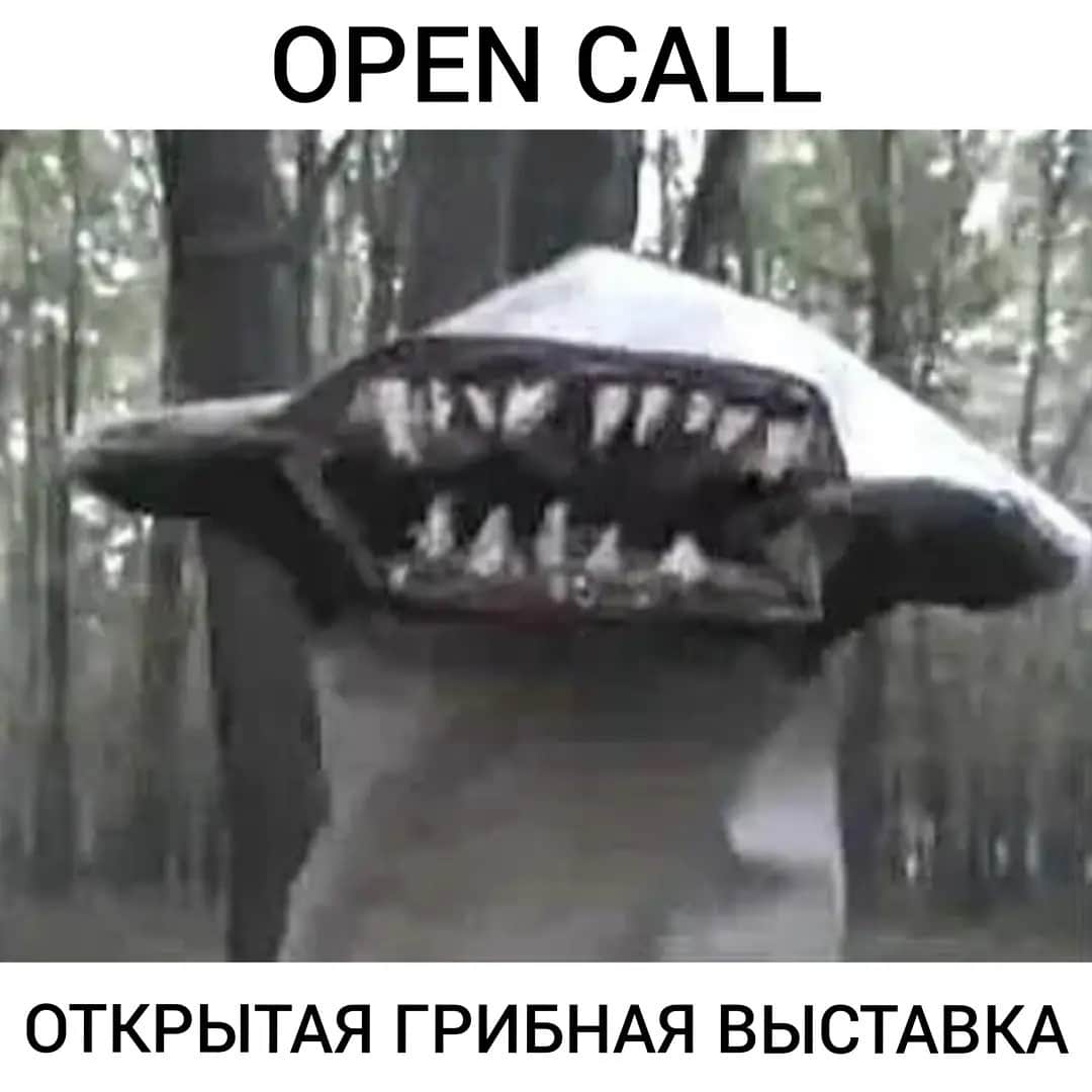 Open call «Открытой грибной выставке» до 20 сентября