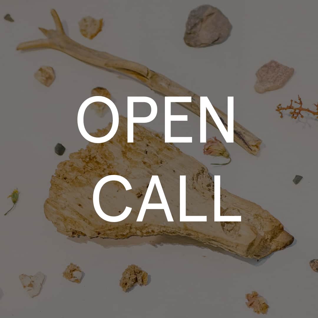 Open call галереи «На Песчаной» для кураторов и художников до 12 августа
