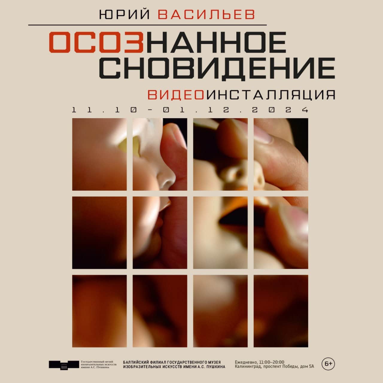 До 1 декабря в Балтийском филиале ГМИИ им. А.С. Пушкина выставка «Юрий Васильев. Осознанное сновидение»