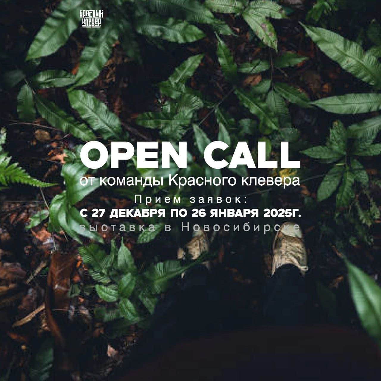 Open call «Босиком» объединения «Красный клевер» до 26 января